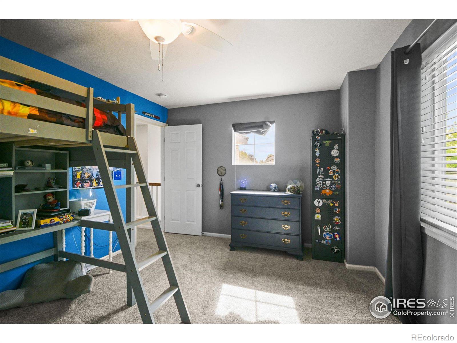 MLS Image #17 for 4625  wildgrass place,dacono, Colorado