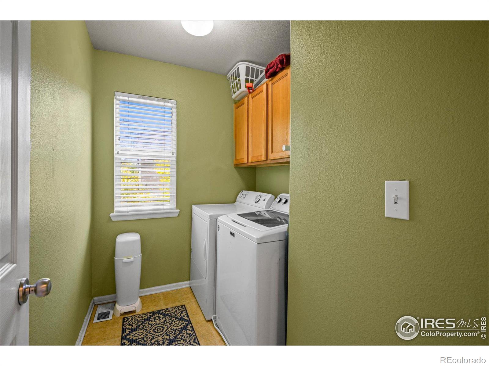 MLS Image #18 for 4625  wildgrass place,dacono, Colorado