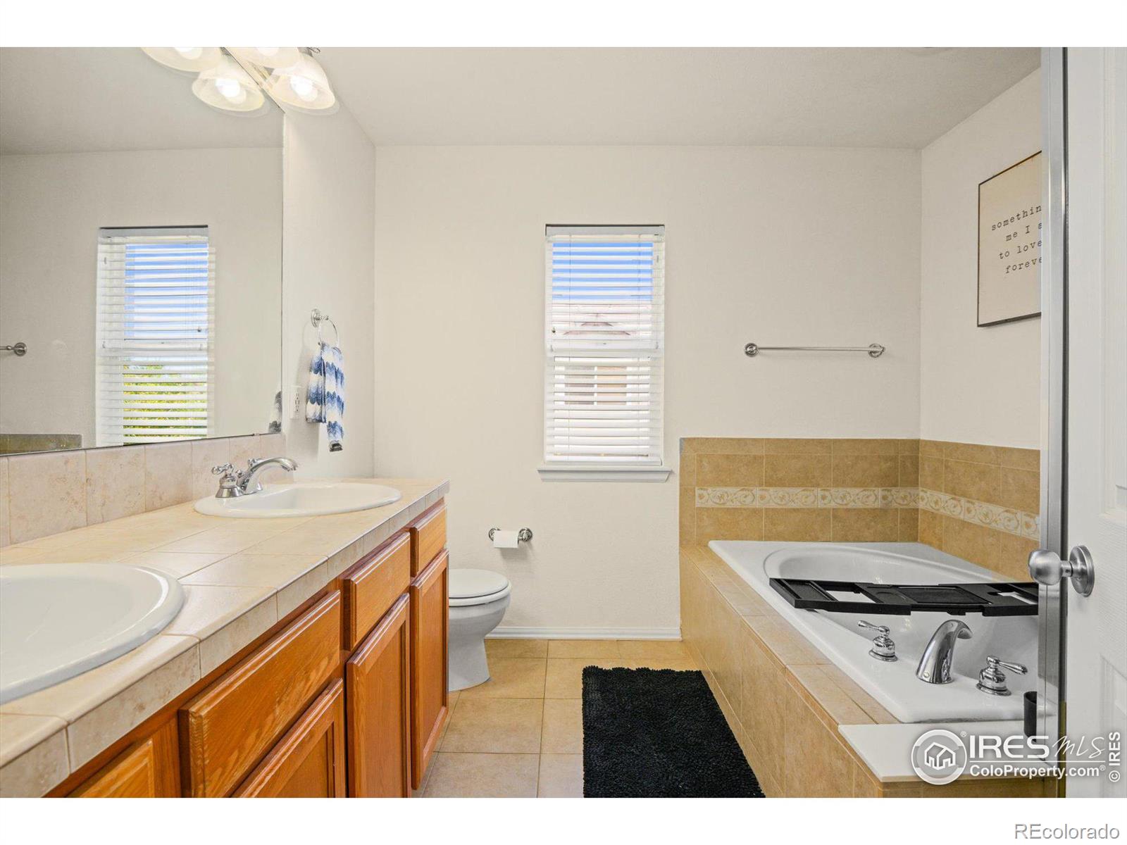 MLS Image #23 for 4625  wildgrass place,dacono, Colorado