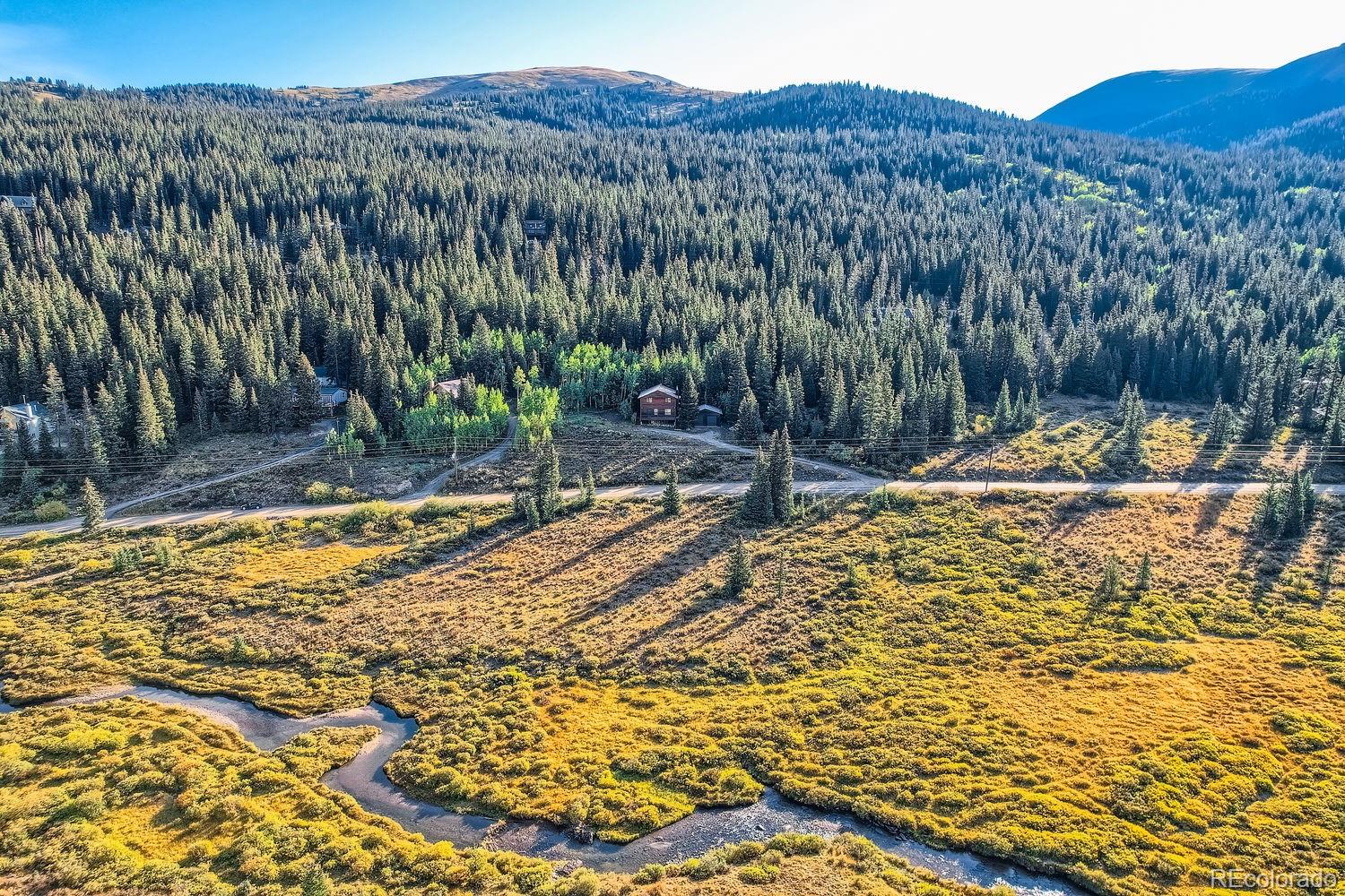 MLS Image #0 for 2554  county road 4 ,alma, Colorado