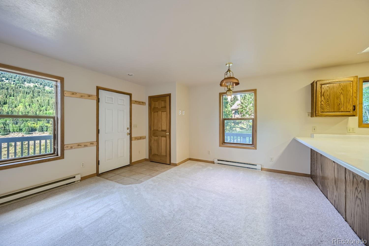 MLS Image #12 for 2554  county road 4 ,alma, Colorado