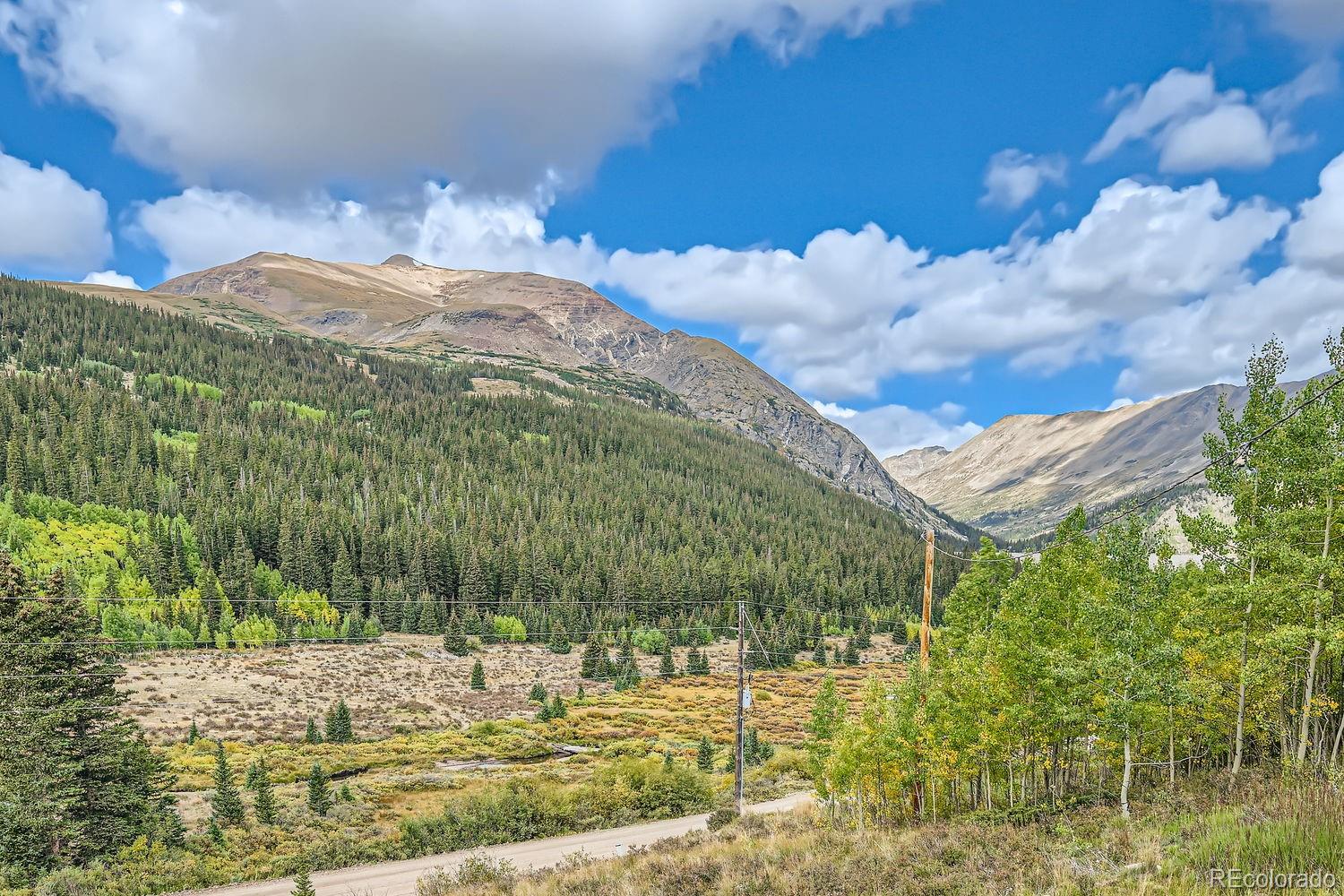 MLS Image #29 for 2554  county road 4 ,alma, Colorado