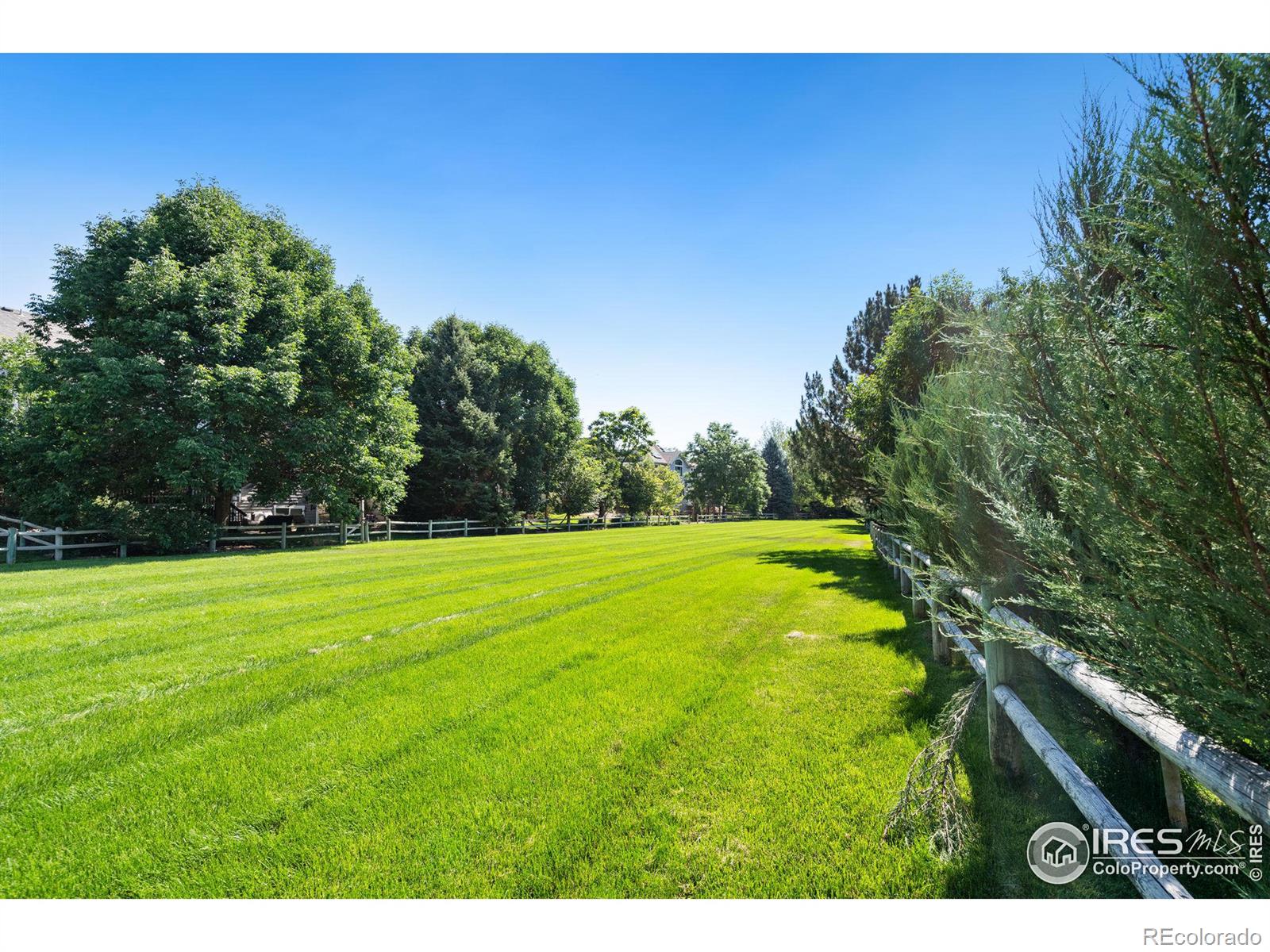 MLS Image #37 for 1726  globe court,fort collins, Colorado