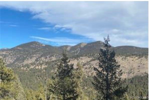 MLS Image #15 for 33884  bergen view trail,evergreen, Colorado