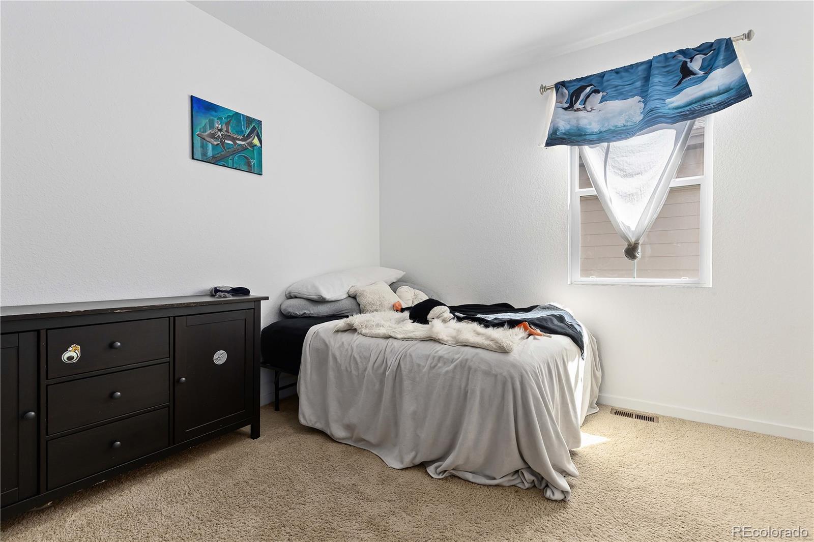 MLS Image #15 for 9785  mount kataka point,littleton, Colorado