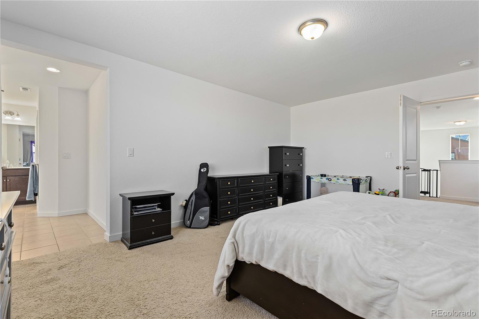 MLS Image #21 for 9785  mount kataka point,littleton, Colorado