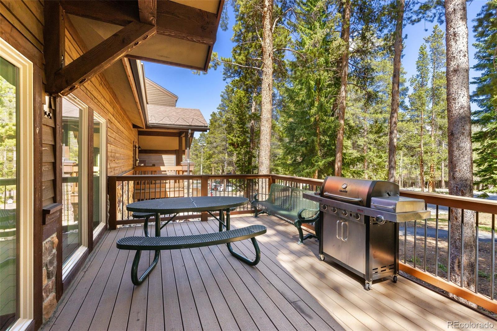 MLS Image #30 for 840  four o clock road,breckenridge, Colorado