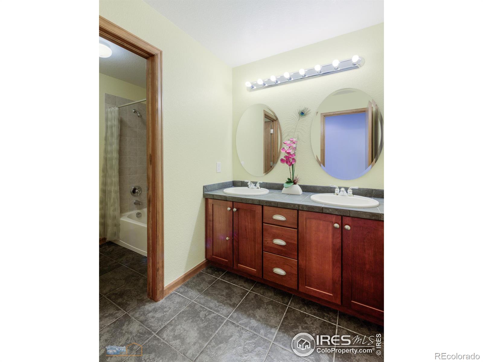 MLS Image #19 for 5385  dunraven circle,golden, Colorado