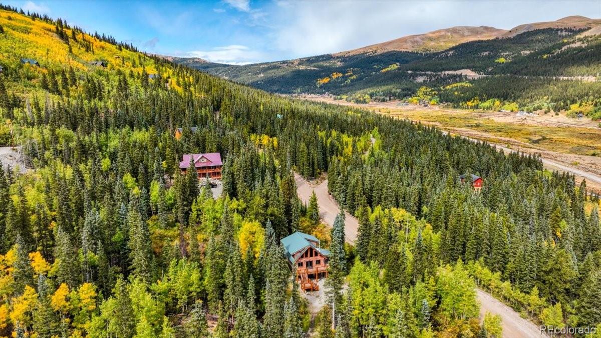 MLS Image #29 for 625  quartzville road,fairplay, Colorado