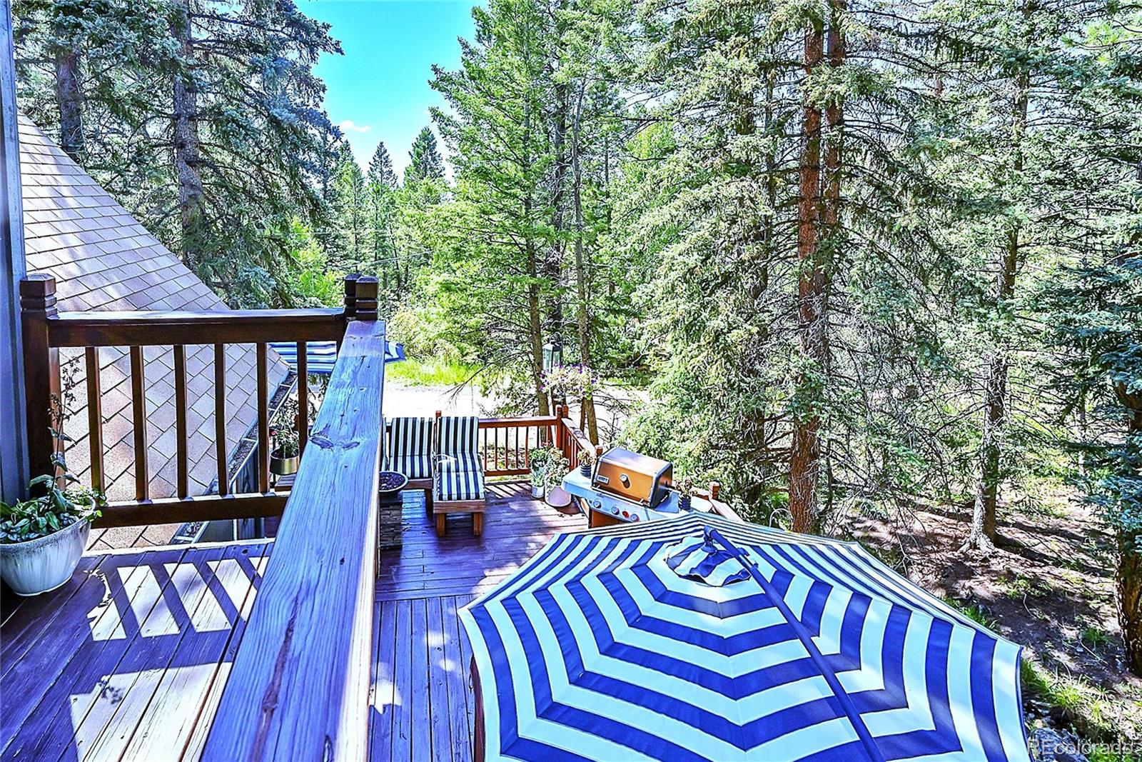 MLS Image #3 for 30997  witteman road,conifer, Colorado