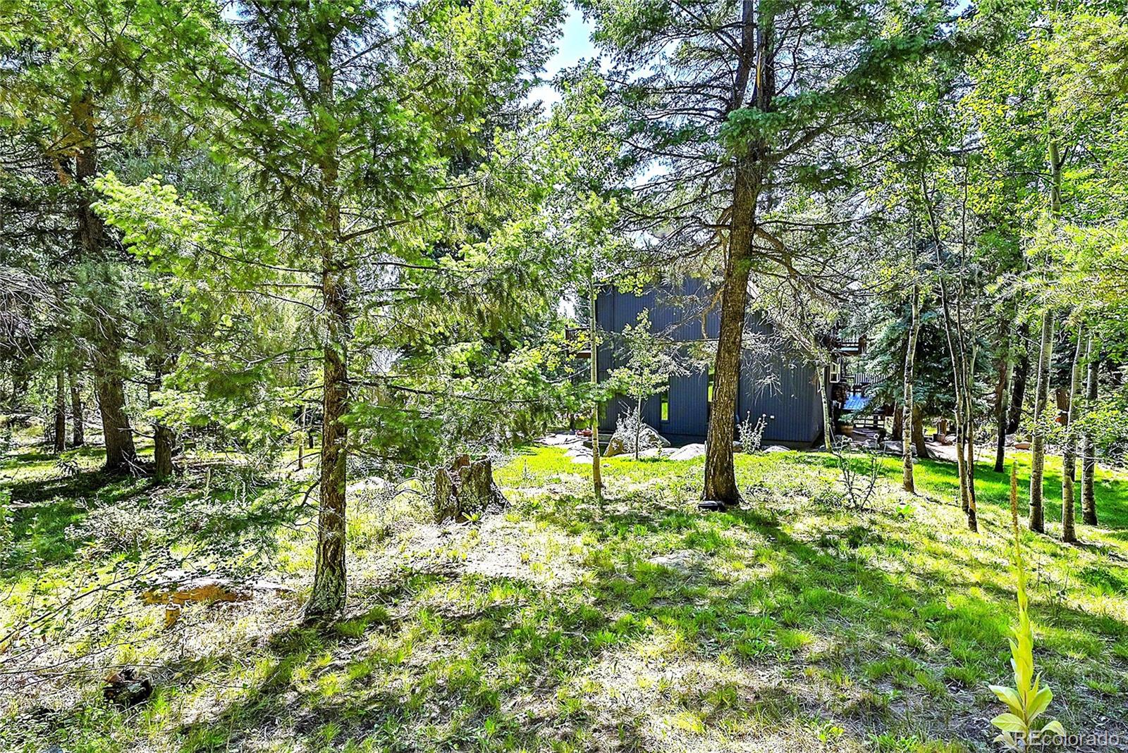 MLS Image #33 for 30997  witteman road,conifer, Colorado