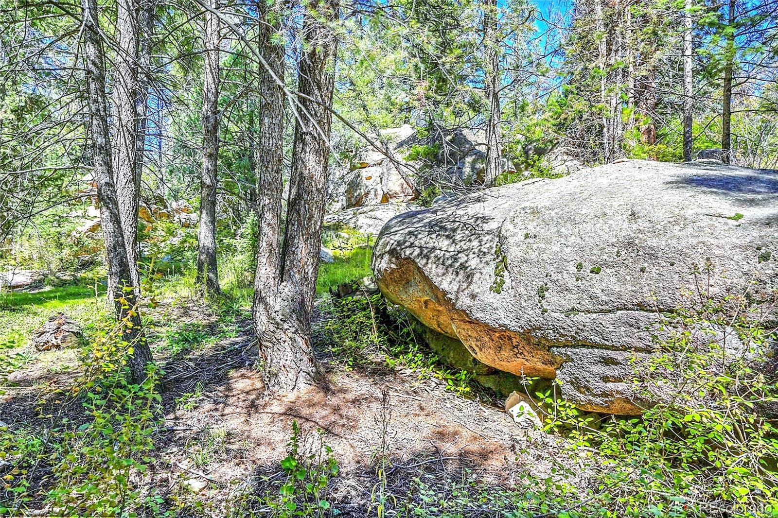 MLS Image #39 for 30997  witteman road,conifer, Colorado