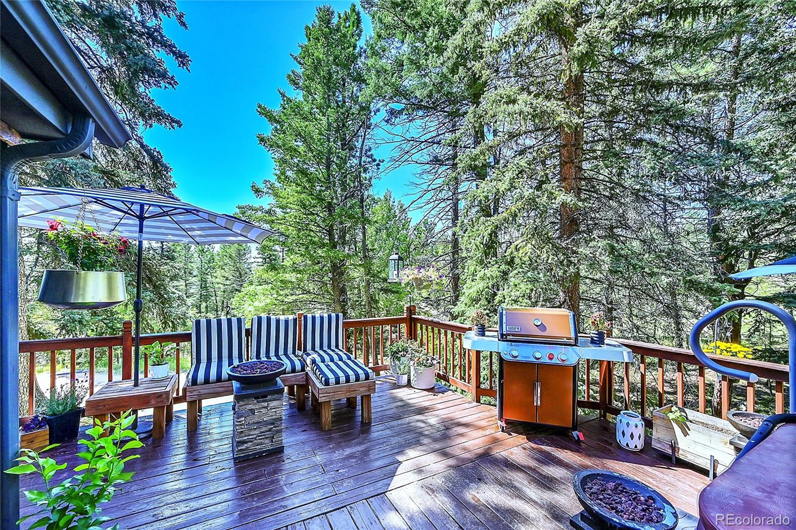 MLS Image #6 for 30997  witteman road,conifer, Colorado