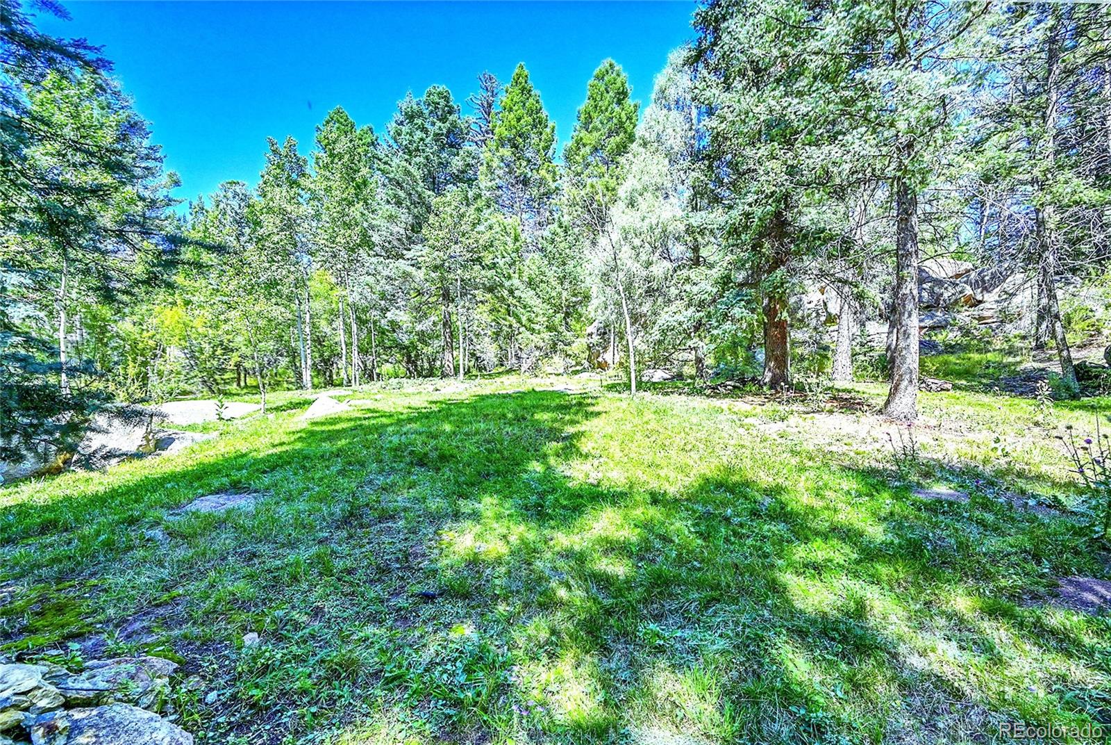 MLS Image #7 for 30997  witteman road,conifer, Colorado