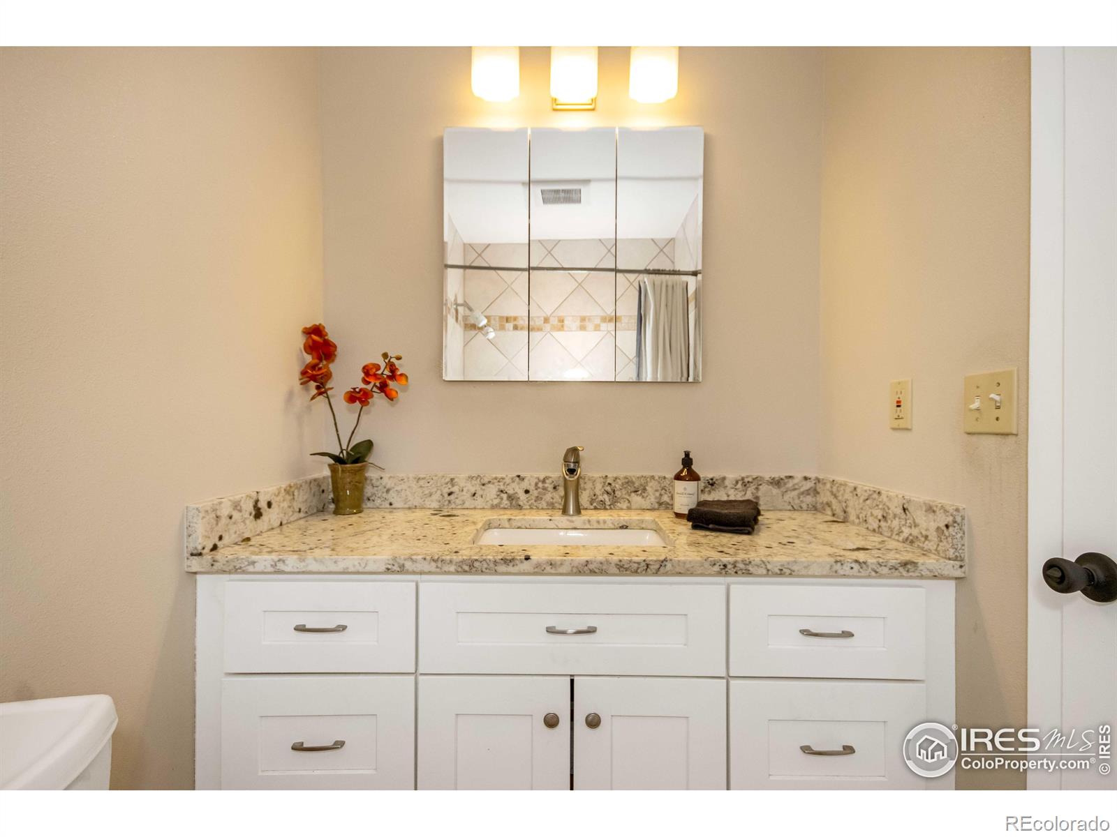 MLS Image #18 for 6591  saulsbury court,arvada, Colorado