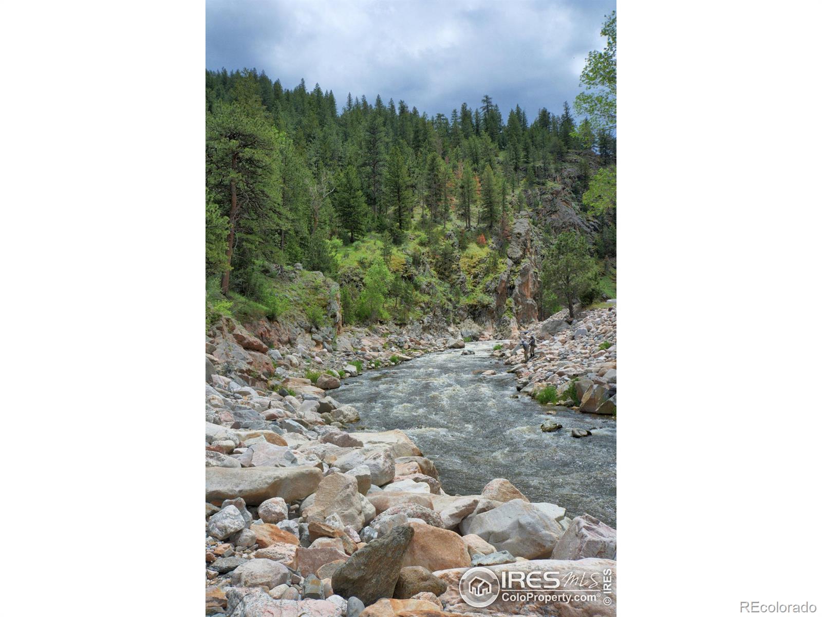 MLS Image #1 for 290  river fork road,drake, Colorado