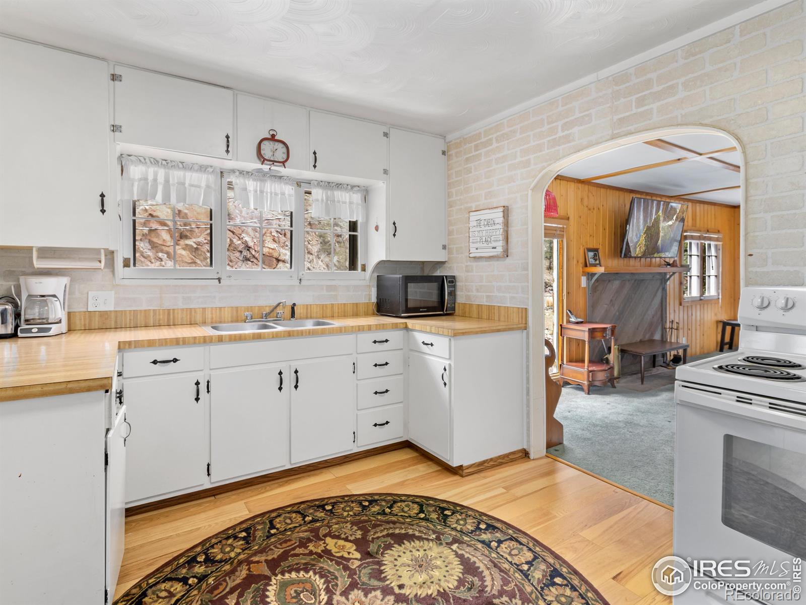 MLS Image #12 for 290  river fork road,drake, Colorado