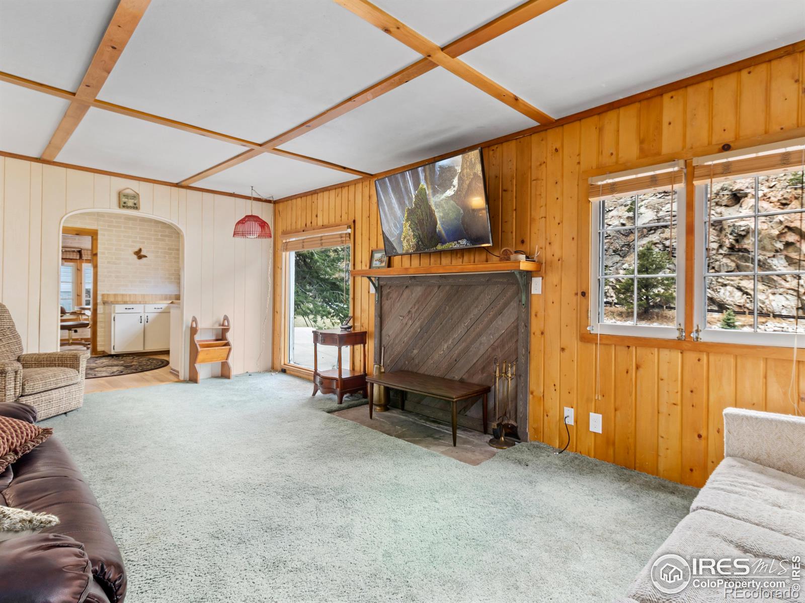 MLS Image #14 for 290  river fork road,drake, Colorado