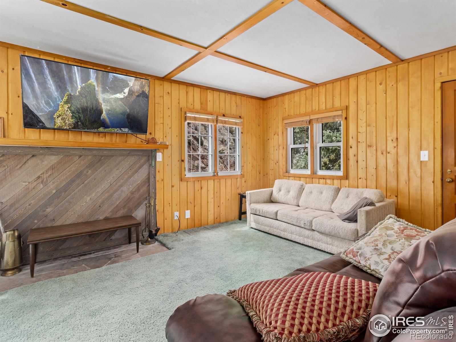 MLS Image #16 for 290  river fork road,drake, Colorado