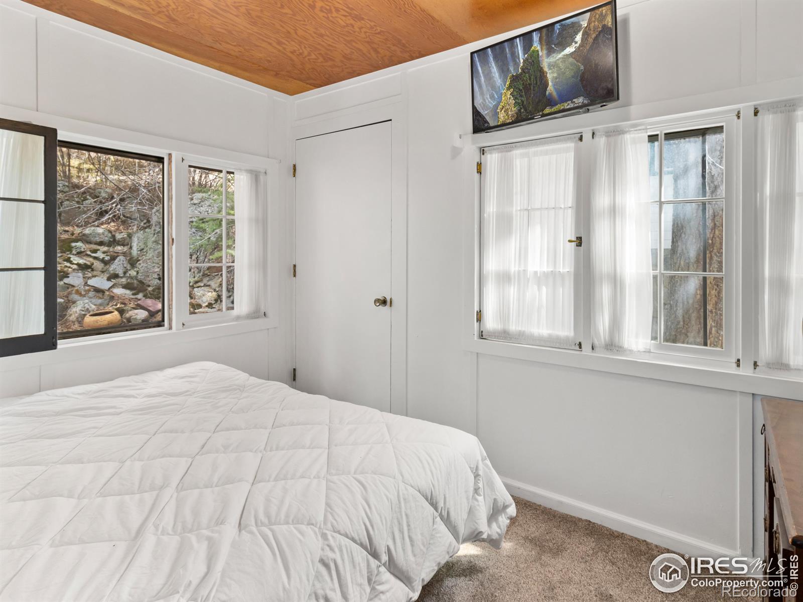 MLS Image #21 for 290  river fork road,drake, Colorado