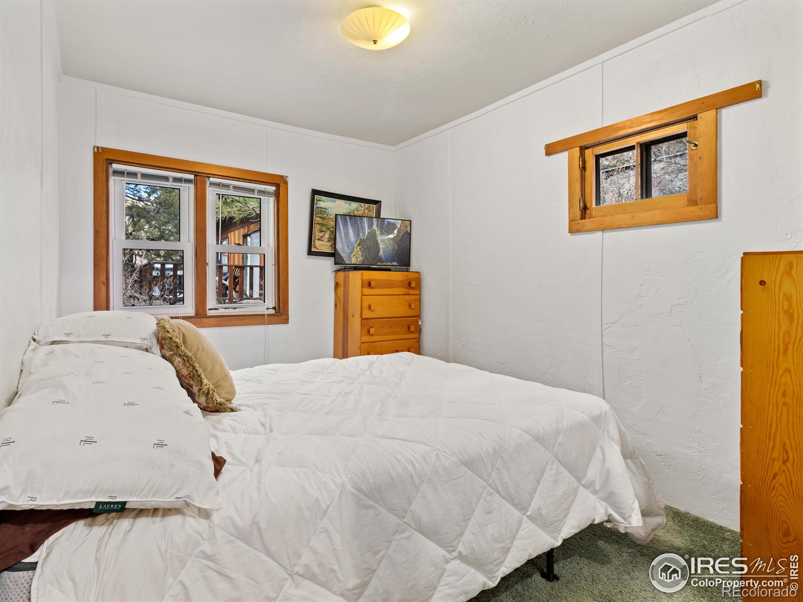 MLS Image #23 for 290  river fork road,drake, Colorado