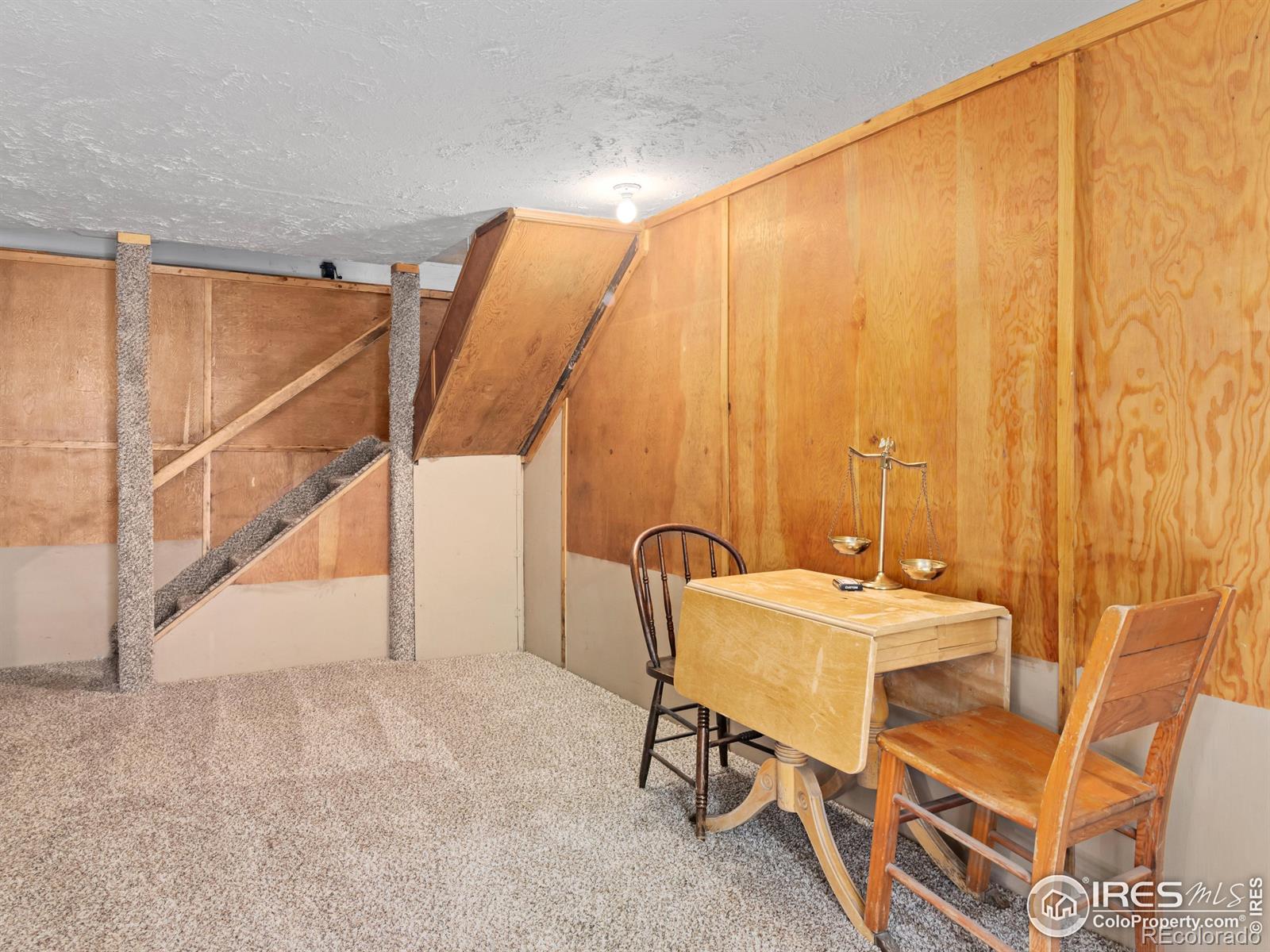 MLS Image #27 for 290  river fork road,drake, Colorado