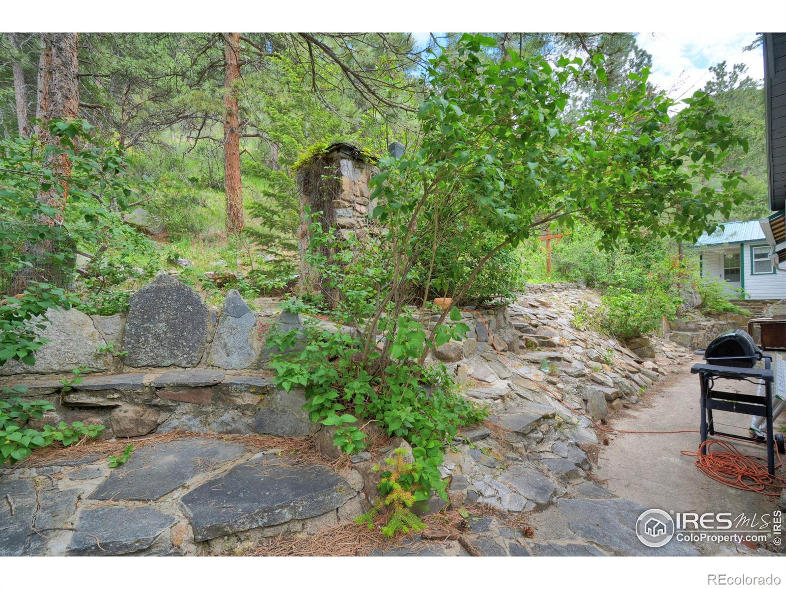 MLS Image #34 for 290  river fork road,drake, Colorado