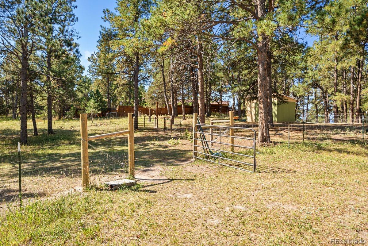 MLS Image #32 for 9110  morgan road,colorado springs, Colorado