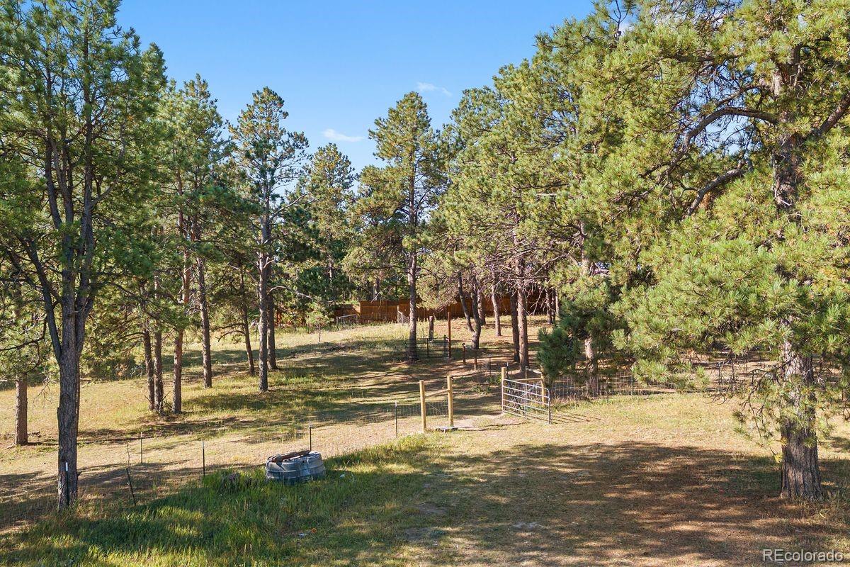 MLS Image #5 for 9110  morgan road,colorado springs, Colorado