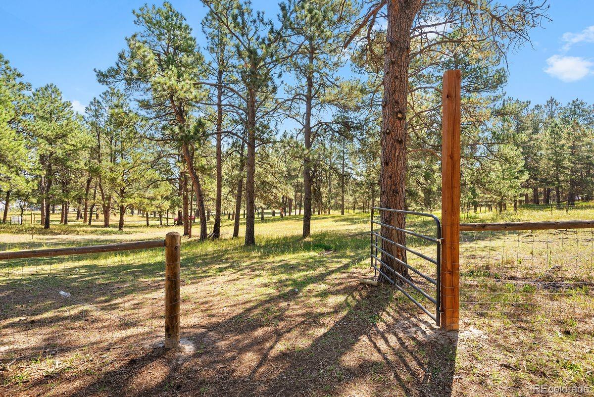 MLS Image #7 for 9110  morgan road,colorado springs, Colorado