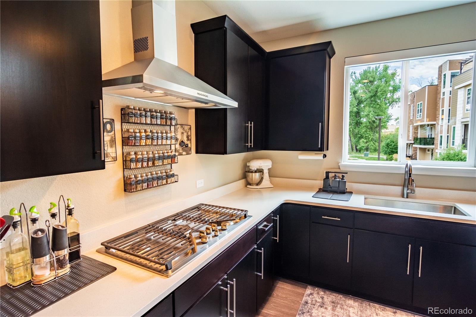 MLS Image #16 for 2559  channel drive,highlands ranch, Colorado