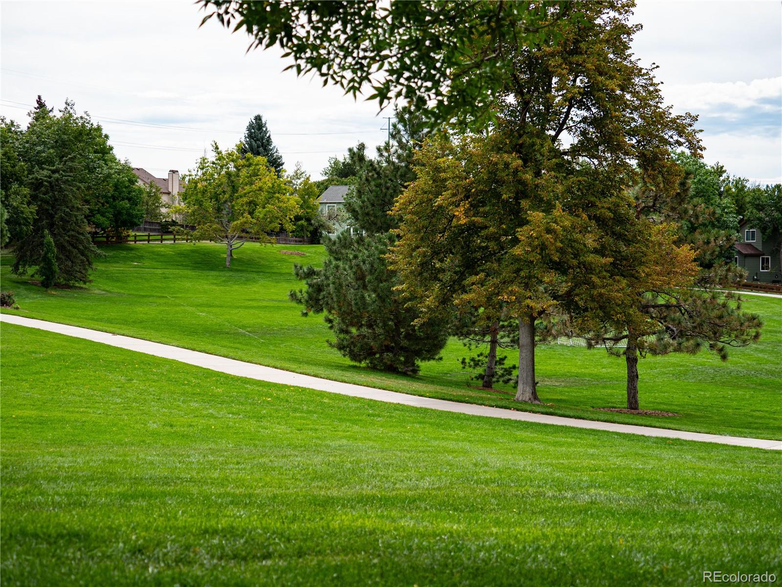 MLS Image #28 for 9353  wiltshire drive,highlands ranch, Colorado