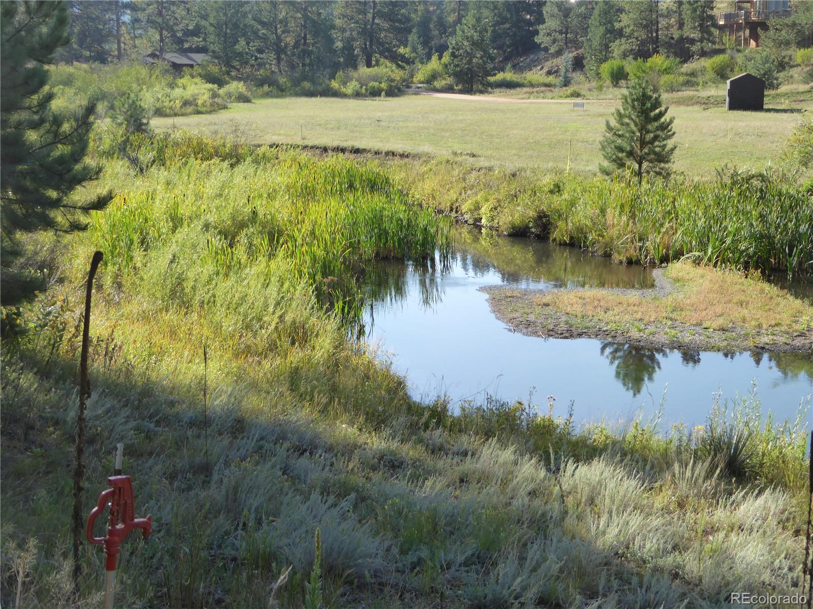 MLS Image #29 for 9705  canon drive,sedalia, Colorado