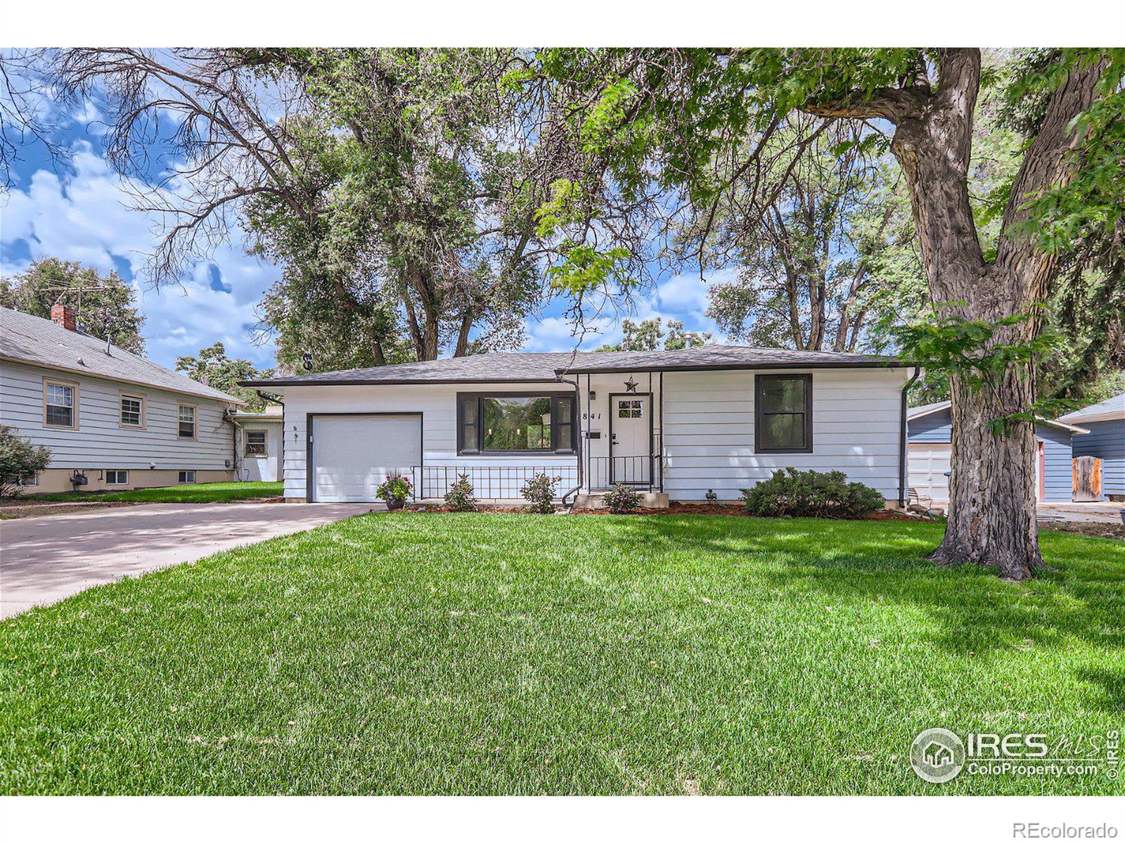 MLS Image #4 for 841  francis street,longmont, Colorado