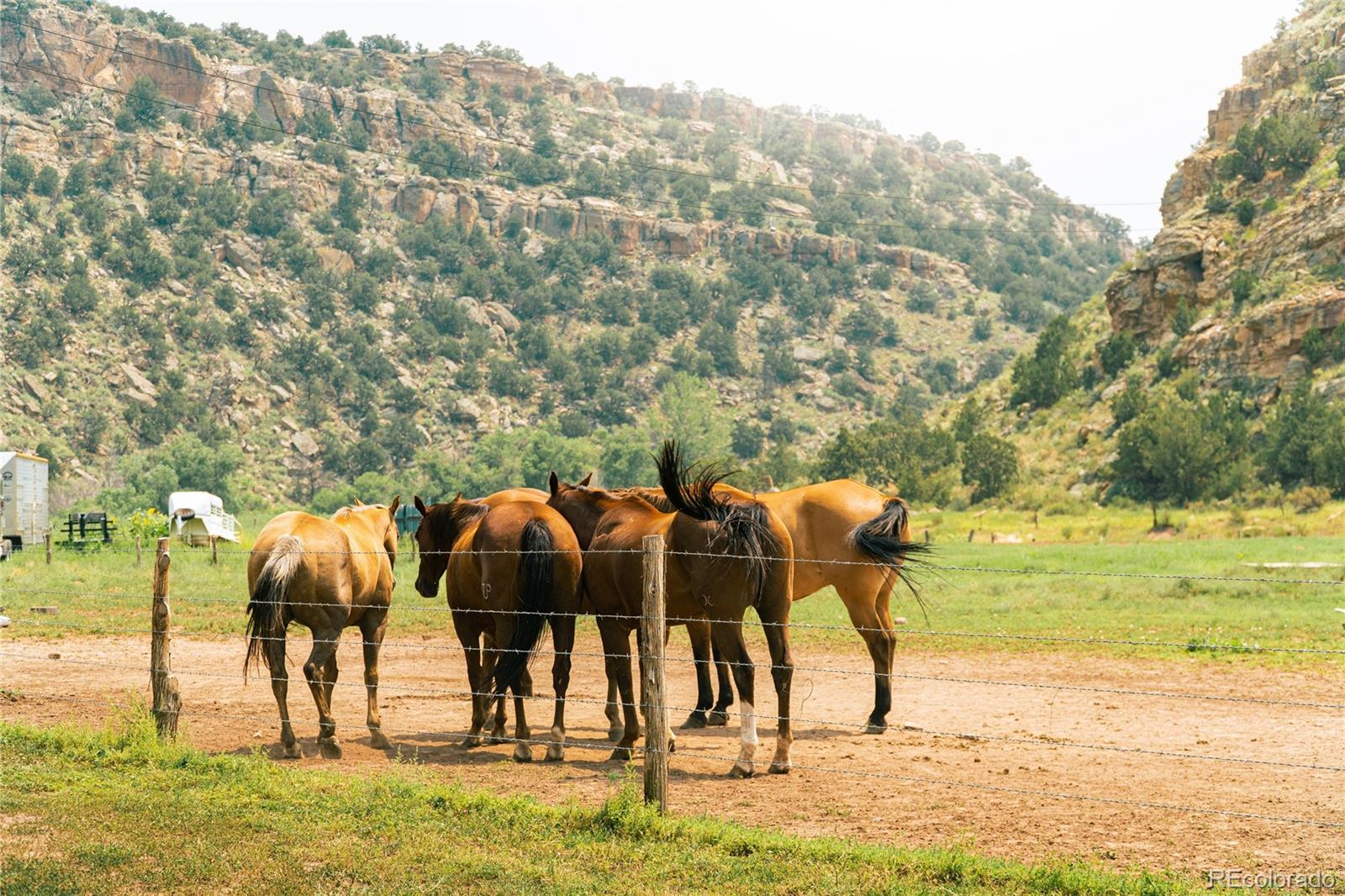 MLS Image #33 for 3240  69 ,canon city, Colorado