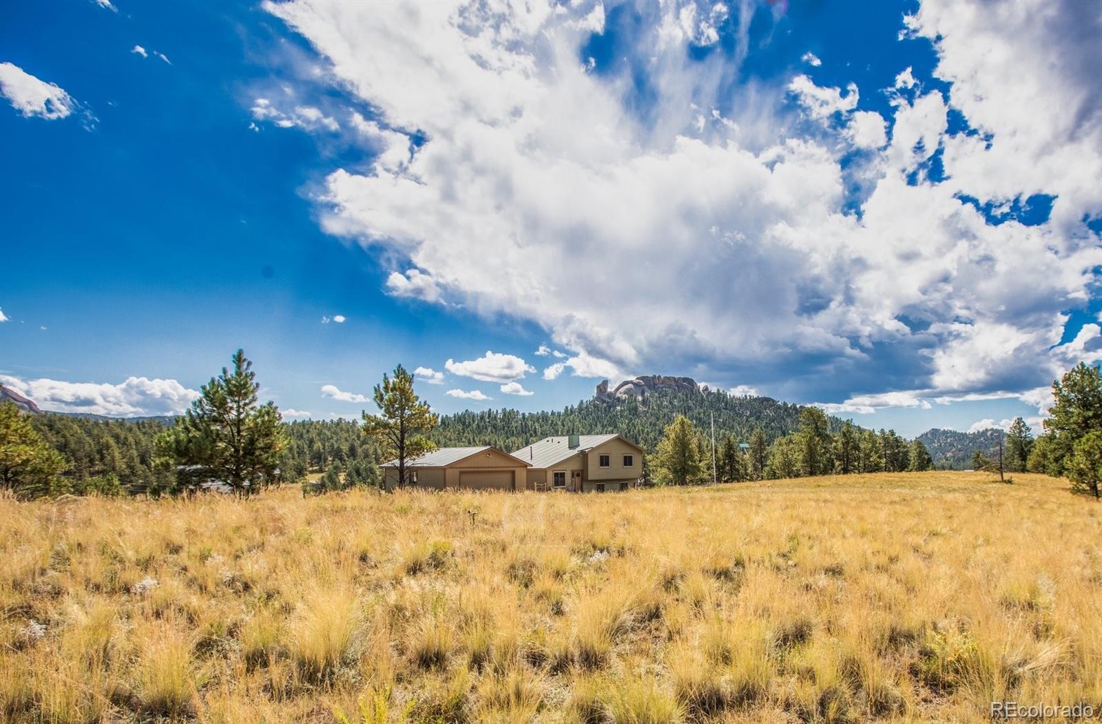 MLS Image #0 for 558 n deer mountain road,florissant, Colorado