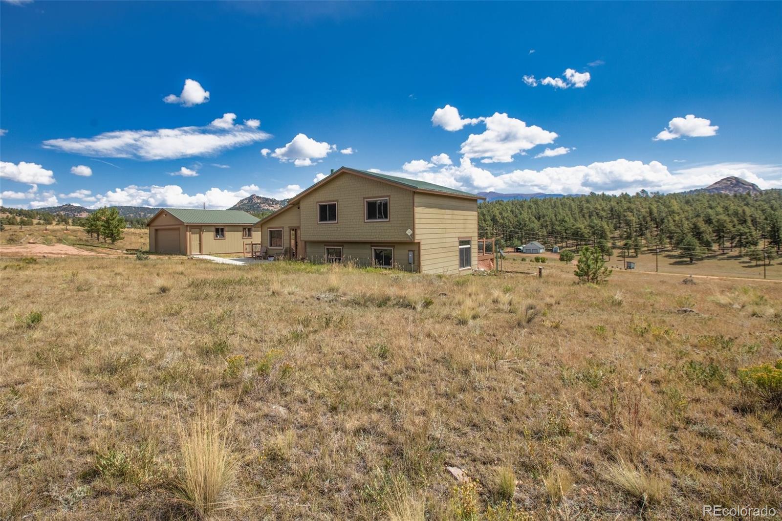 MLS Image #1 for 558 n deer mountain road,florissant, Colorado