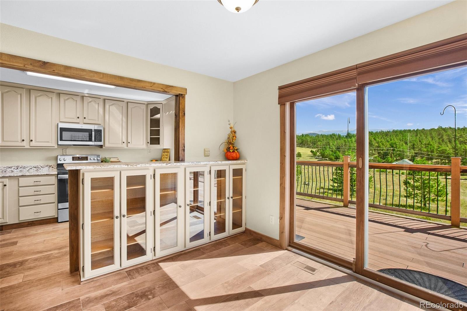 MLS Image #12 for 558 n deer mountain road,florissant, Colorado