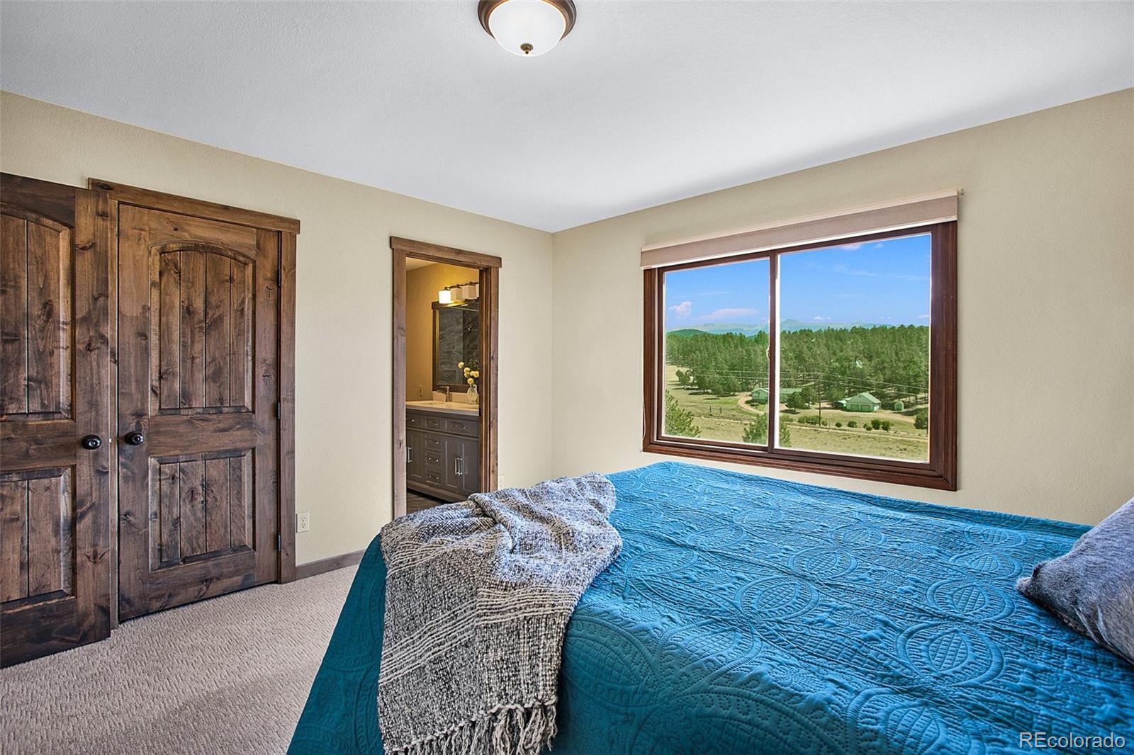 MLS Image #18 for 558 n deer mountain road,florissant, Colorado