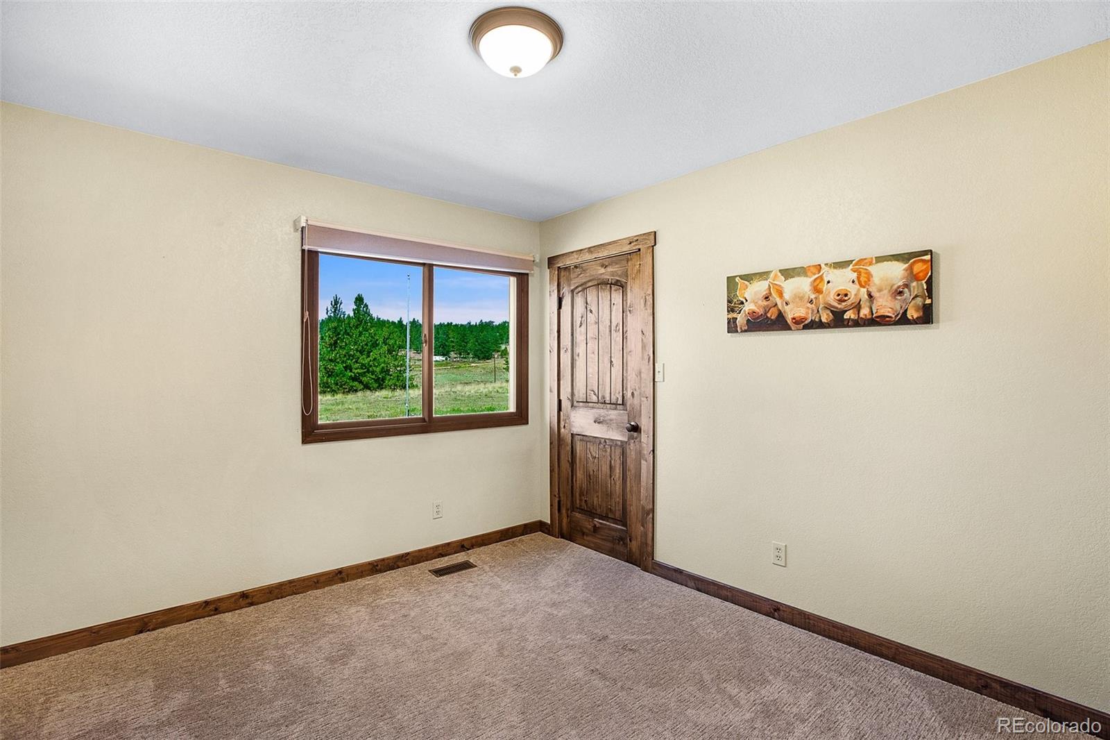 MLS Image #22 for 558 n deer mountain road,florissant, Colorado