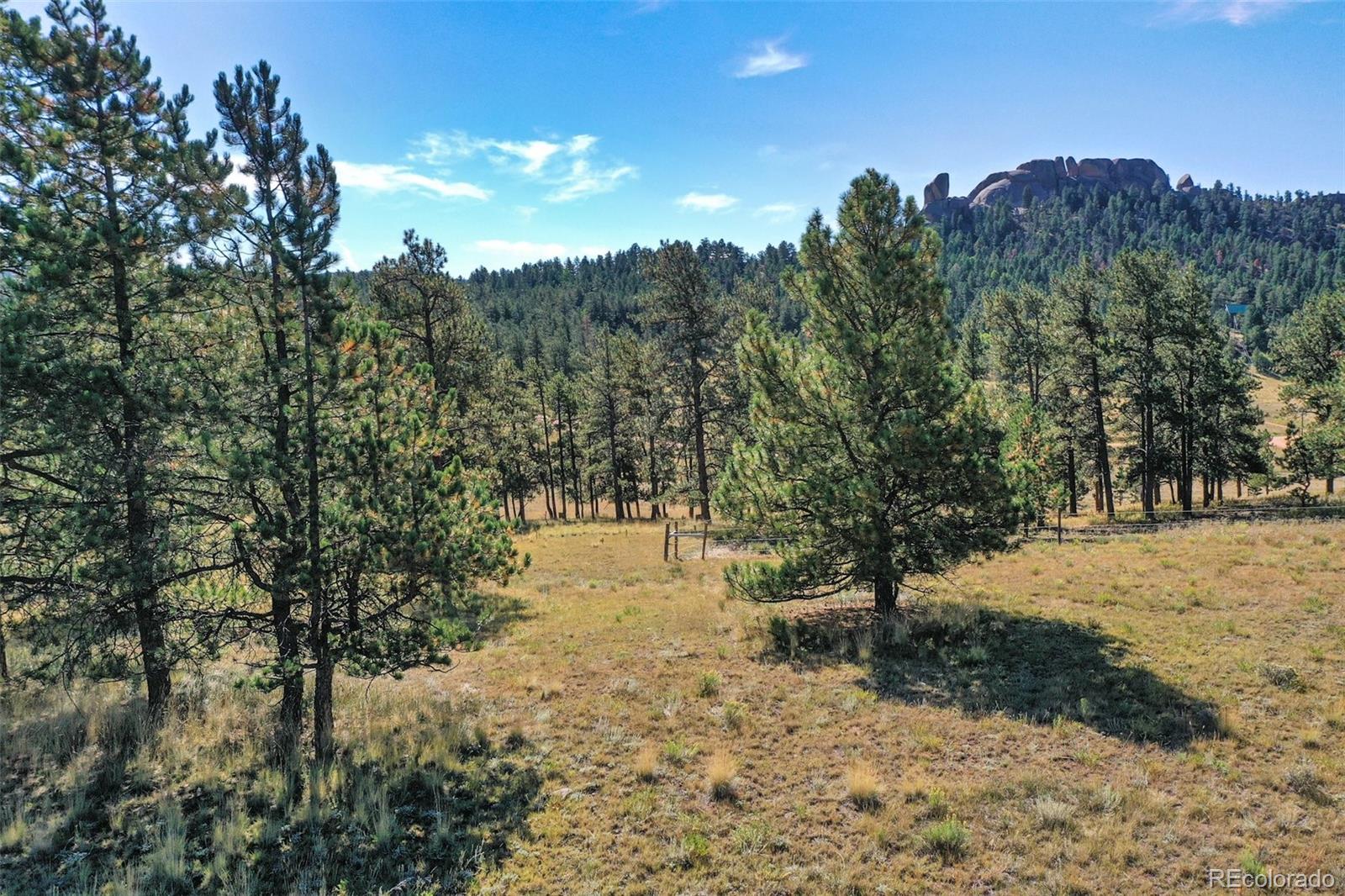 MLS Image #46 for 558 n deer mountain road,florissant, Colorado