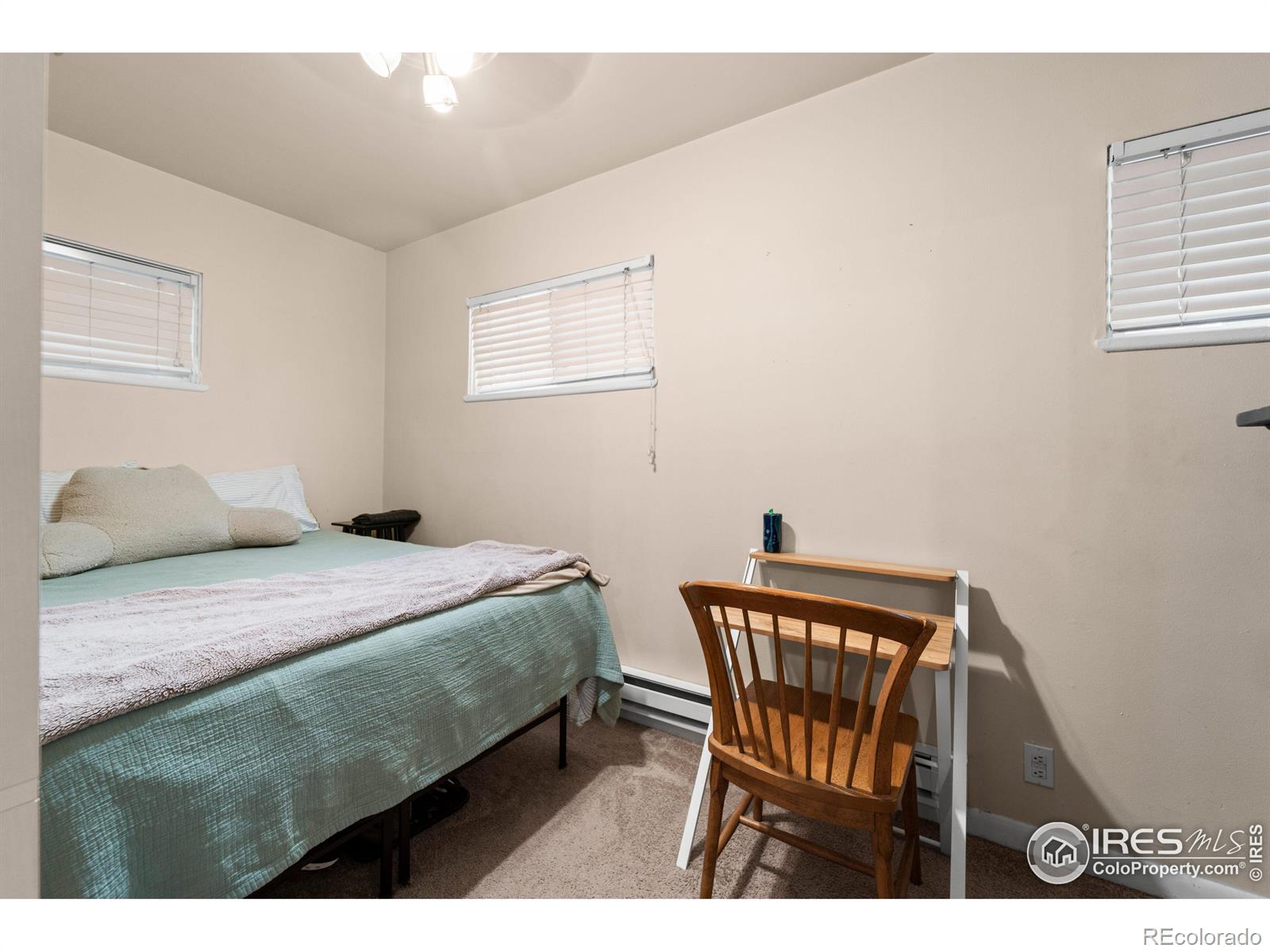 MLS Image #29 for 2055 s williams street,denver, Colorado