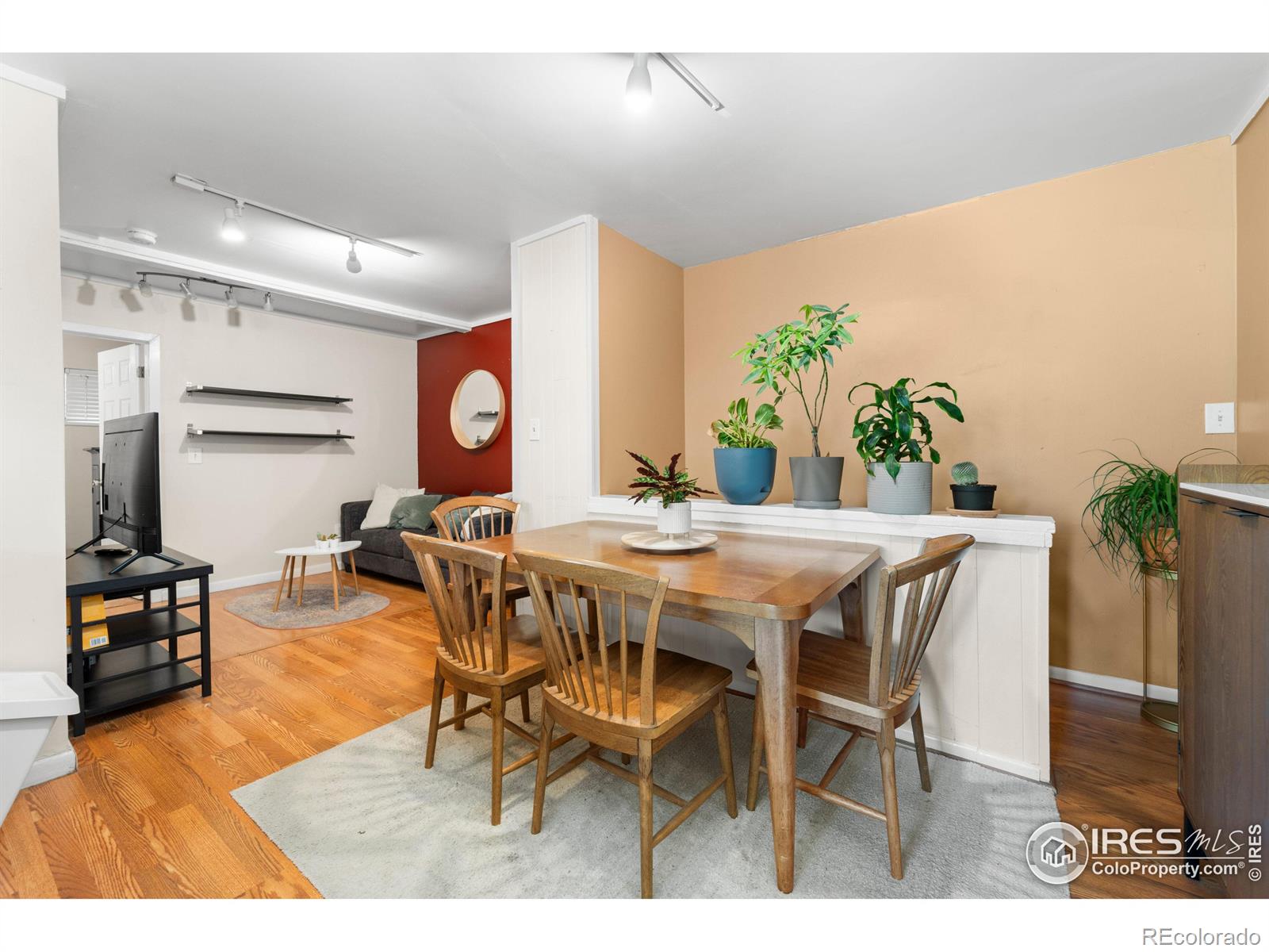 MLS Image #32 for 2055 s williams street,denver, Colorado