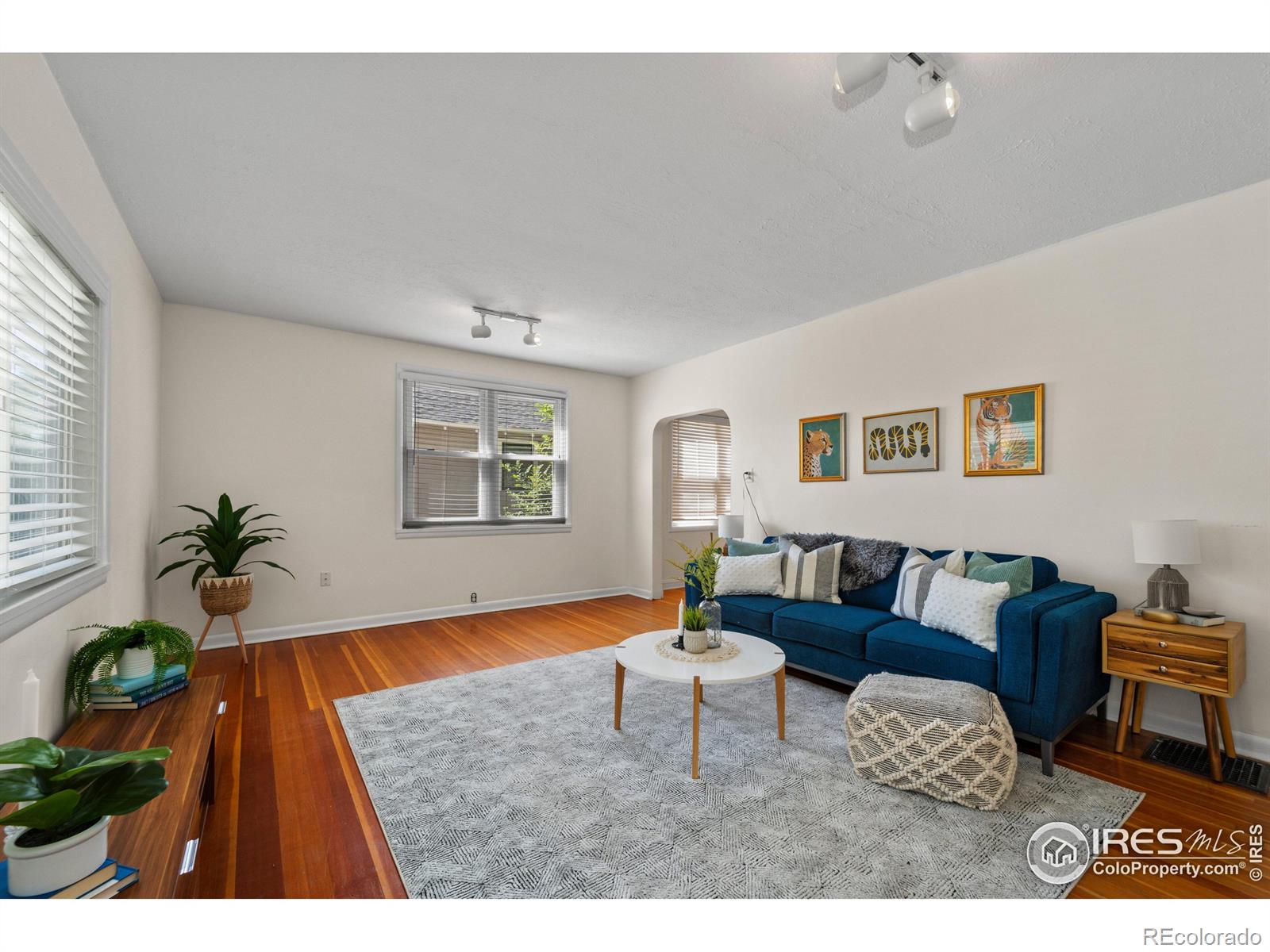 MLS Image #5 for 2055 s williams street,denver, Colorado