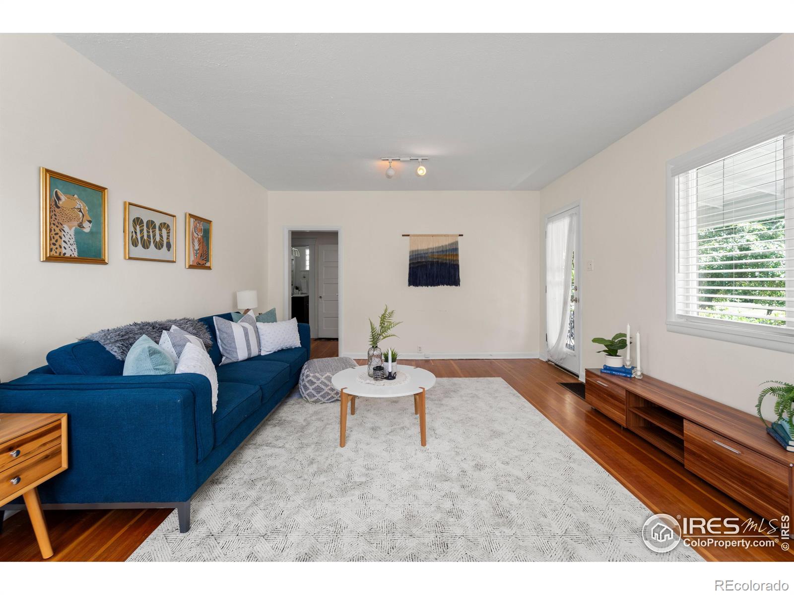 MLS Image #8 for 2055 s williams street,denver, Colorado