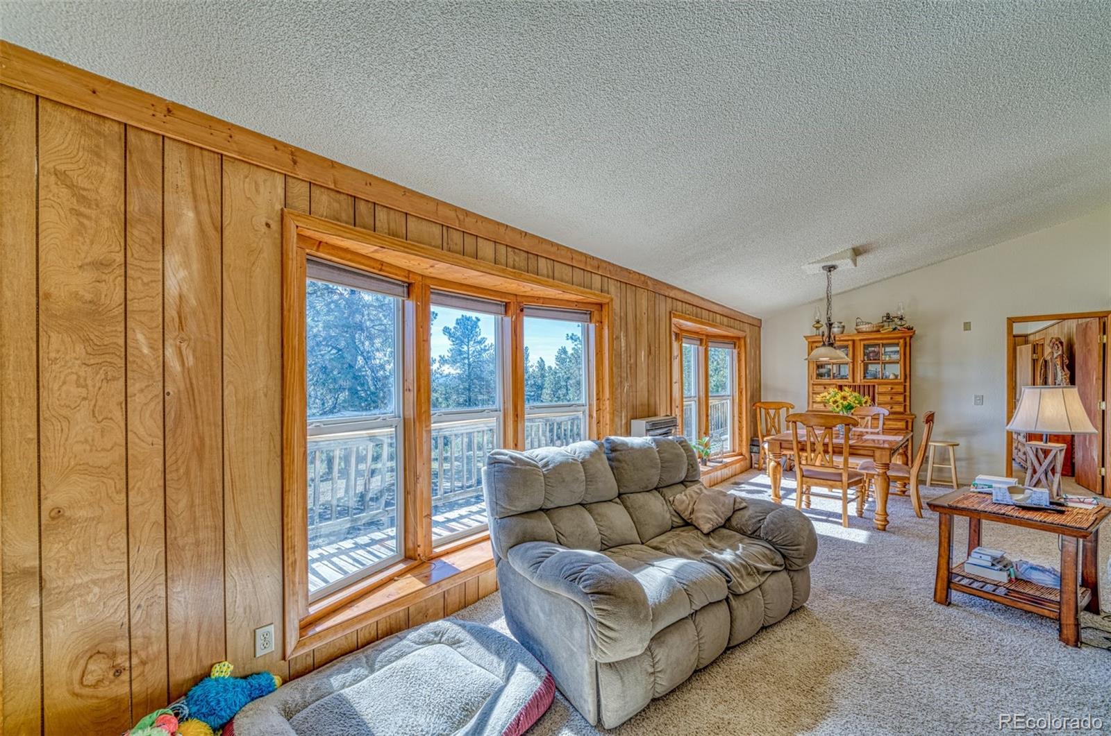 MLS Image #8 for 20218  county road 30 ,weston, Colorado