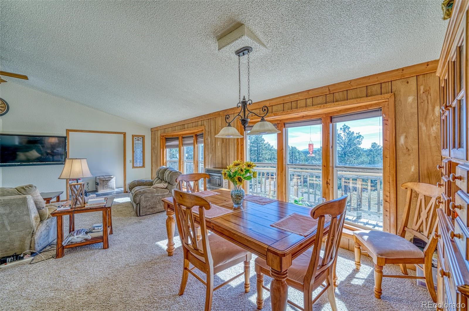 MLS Image #9 for 20218  county road 30 ,weston, Colorado