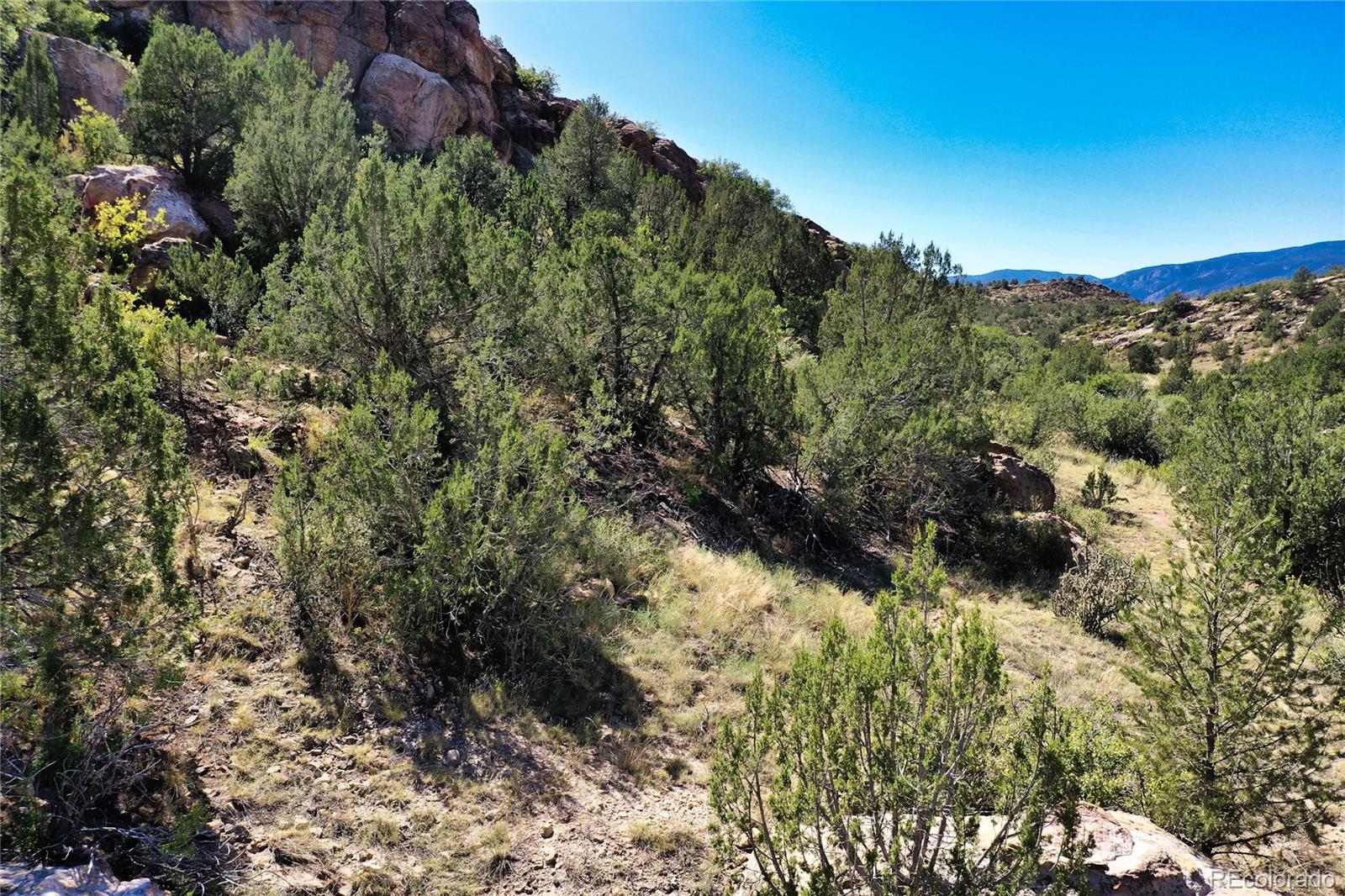 MLS Image #37 for 1899  locust street,canon city, Colorado