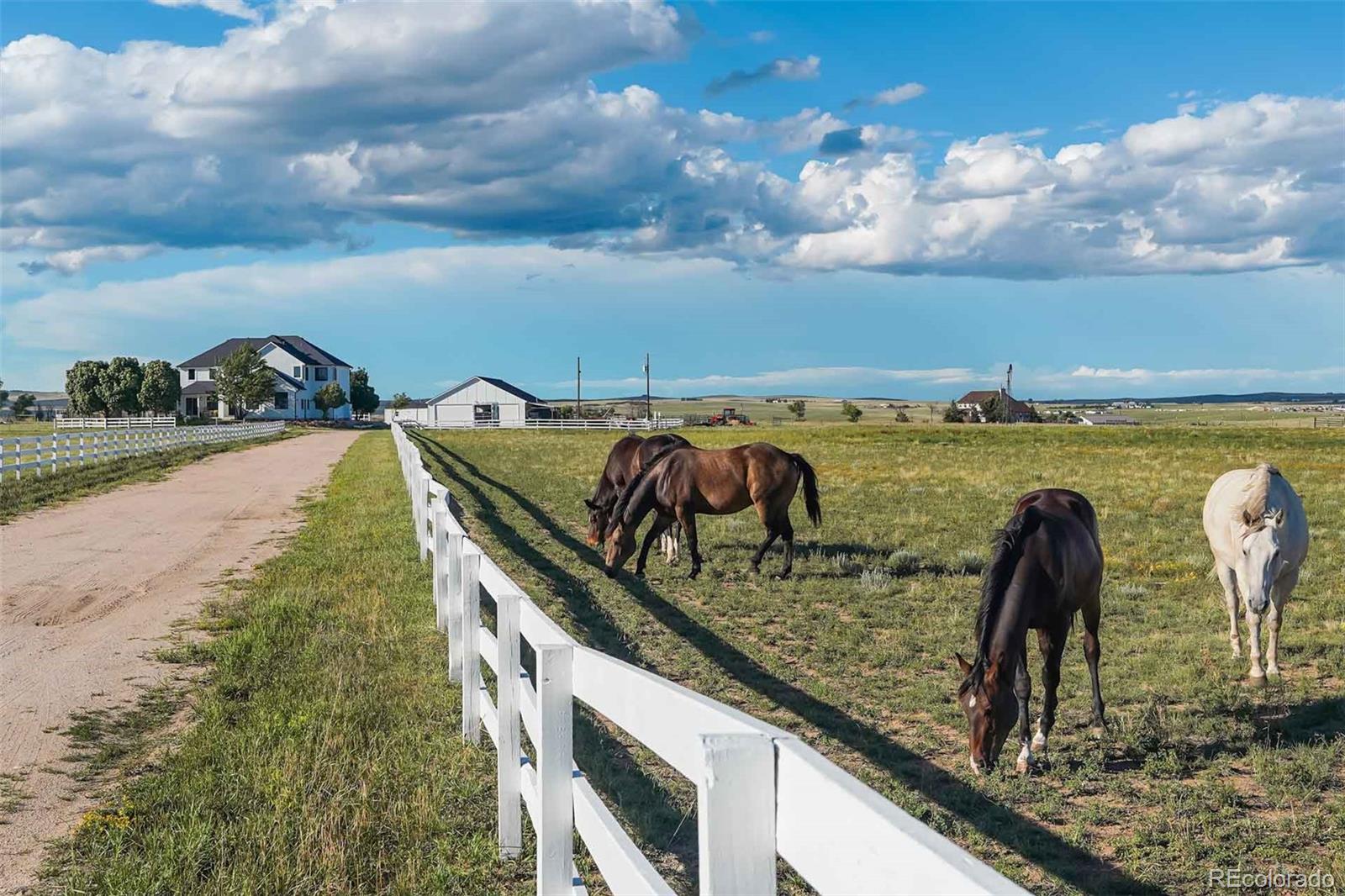 MLS Image #49 for 20880  scott road ,peyton, Colorado