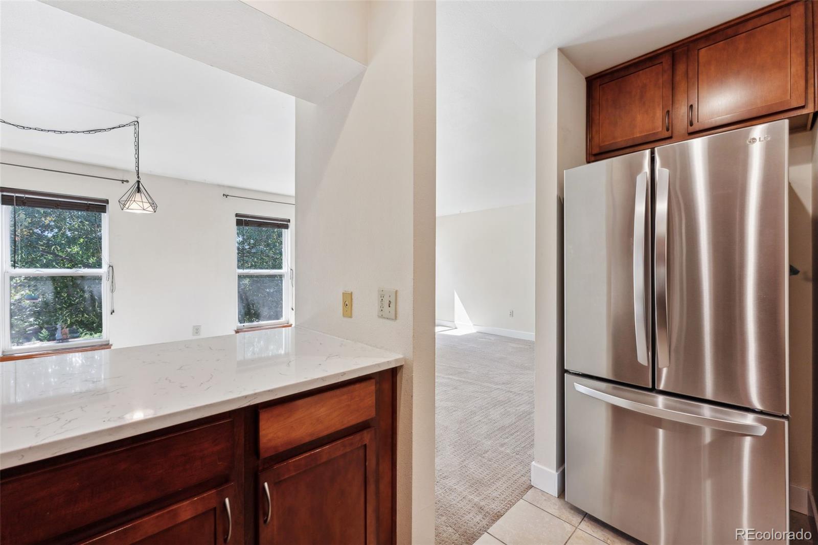 MLS Image #10 for 1150  inca street,denver, Colorado